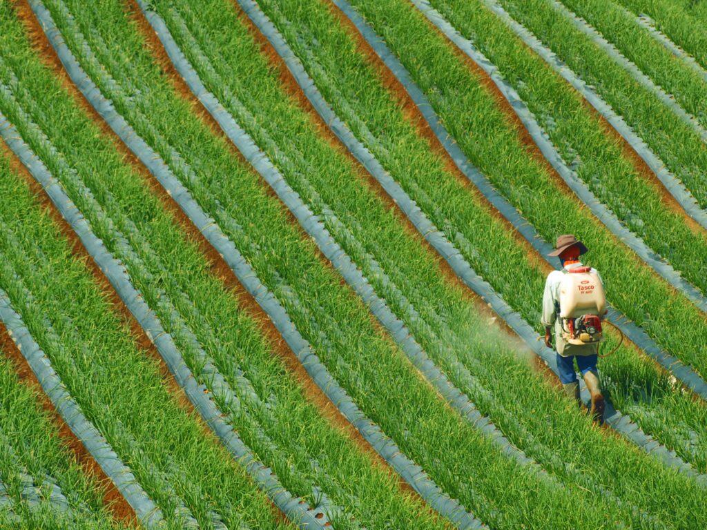 Bioestimulantes na agricultura